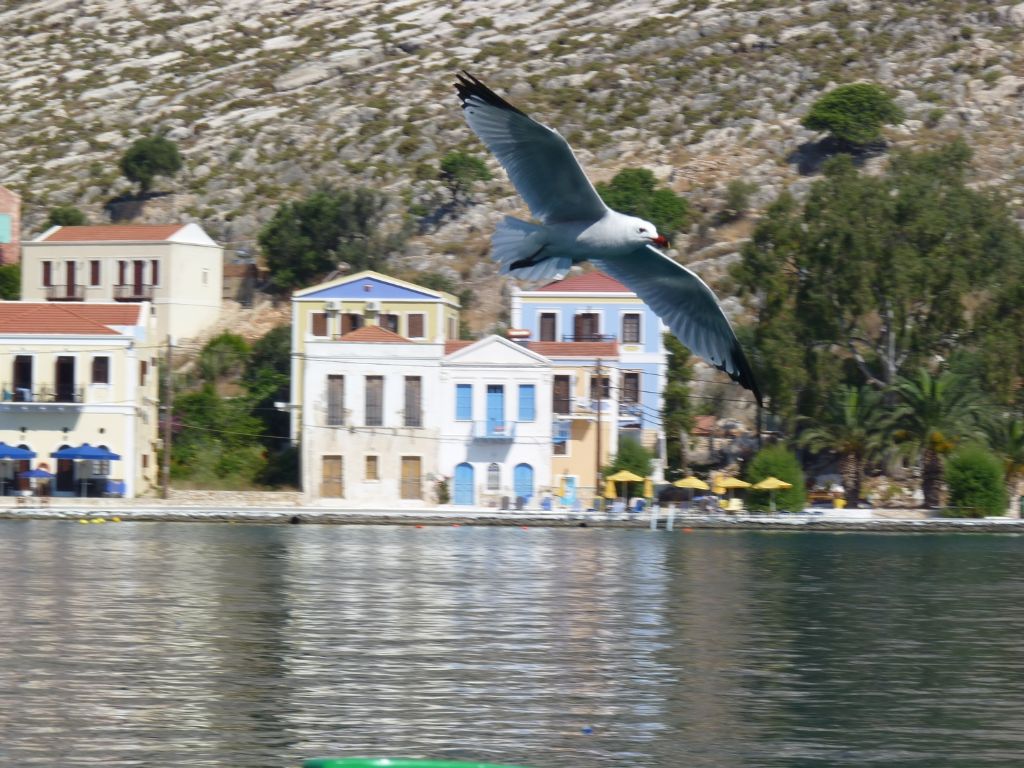 Osservazioni in vacanza